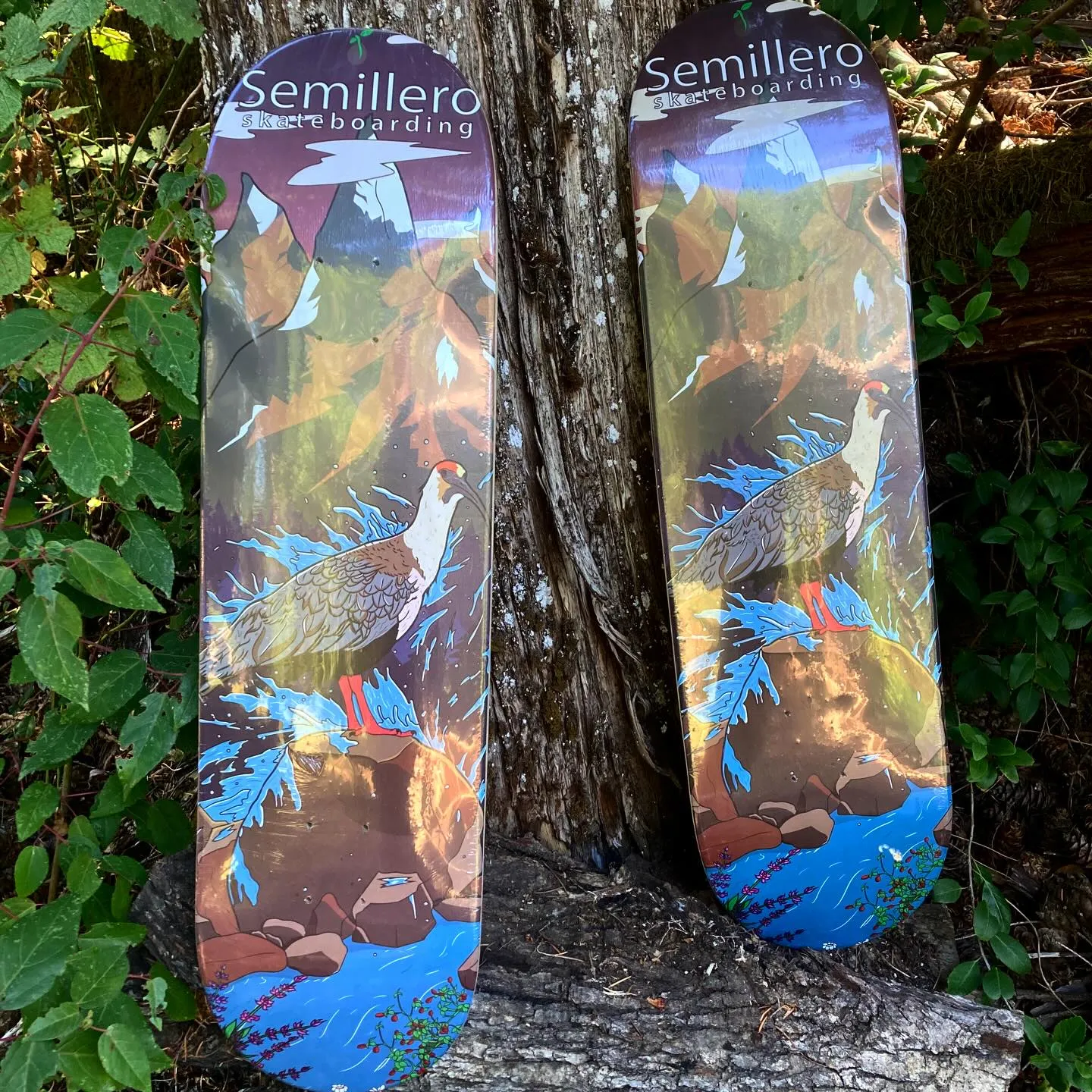 Tablas Semillero con ilustración de bandurria