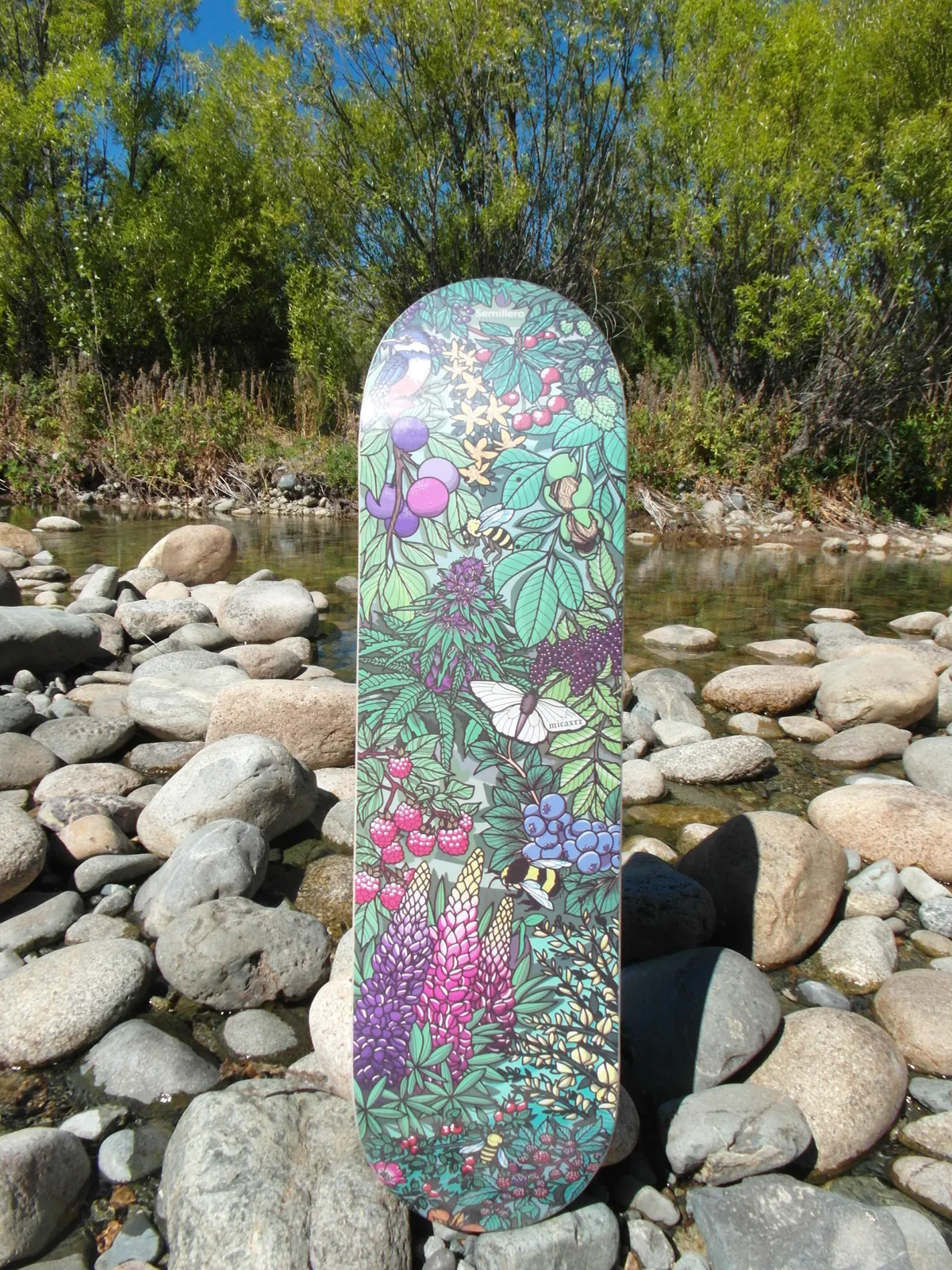 Tabla Bosque nativo parada entre las piedras del río